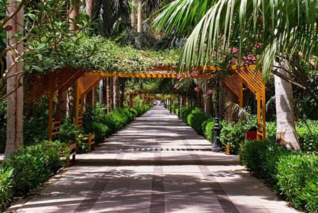 Sunset Serenity: Felucca Ride & Botanical Gardens